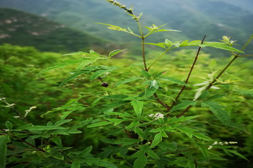 mg不朽情缘(中国)游戏官方网站