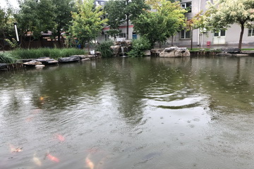 mg不朽情缘(中国)游戏官方网站