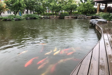 mg不朽情缘(中国)游戏官方网站