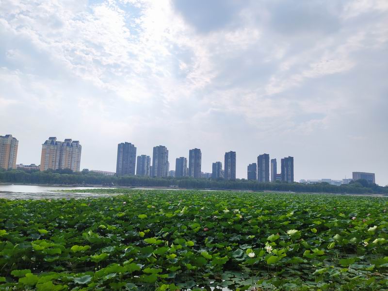mg不朽情缘(中国)游戏官方网站