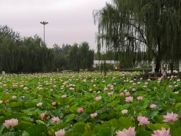 mg不朽情缘(中国)游戏官方网站