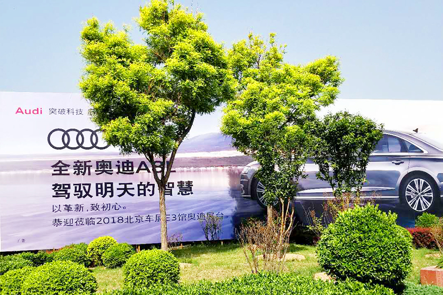 mg不朽情缘(中国)游戏官方网站