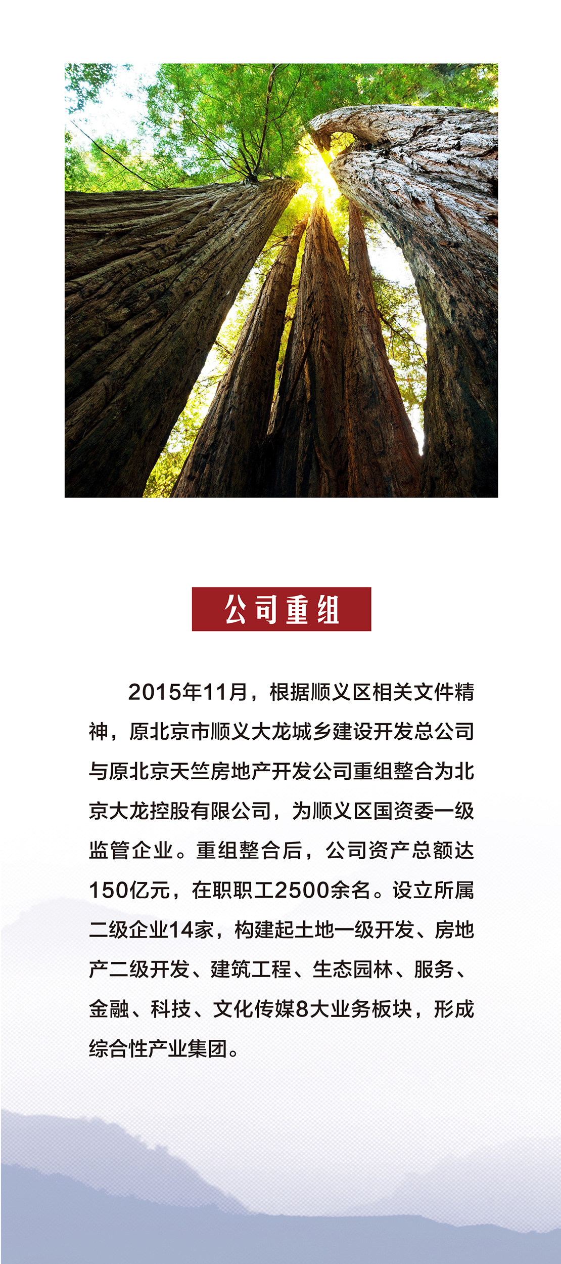 mg不朽情缘(中国)游戏官方网站