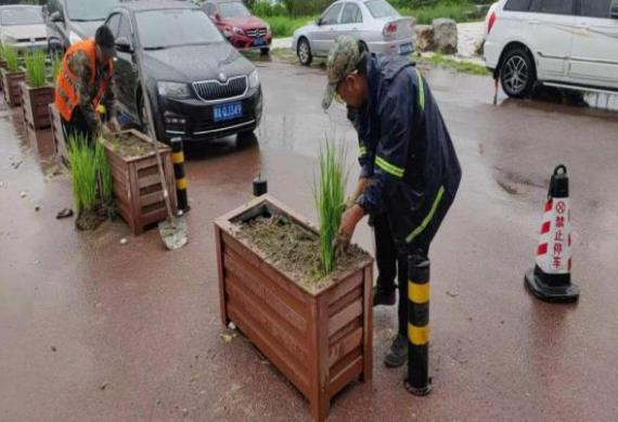 mg不朽情缘(中国)游戏官方网站