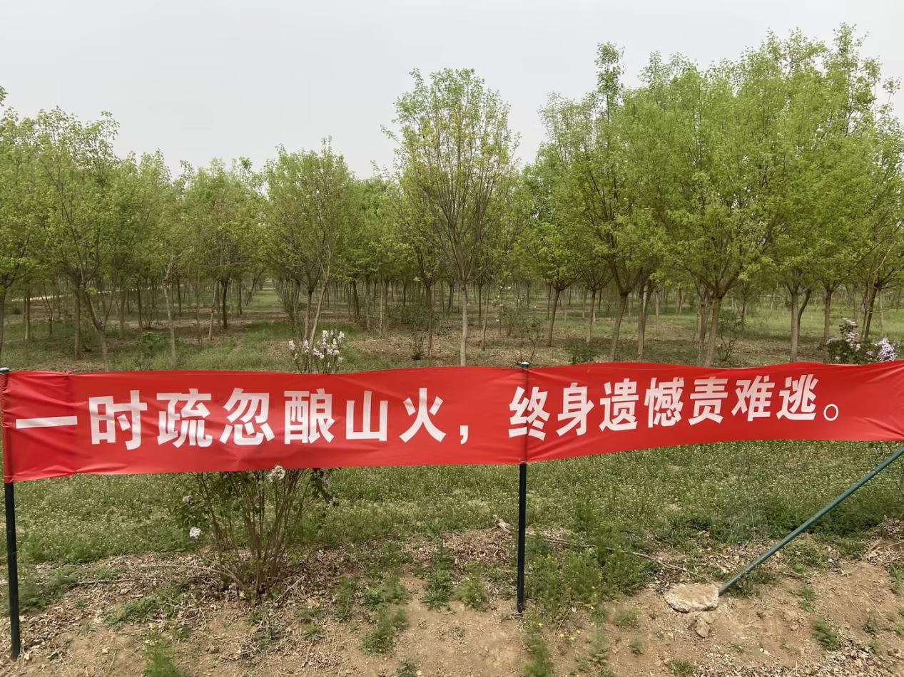 mg不朽情缘(中国)游戏官方网站