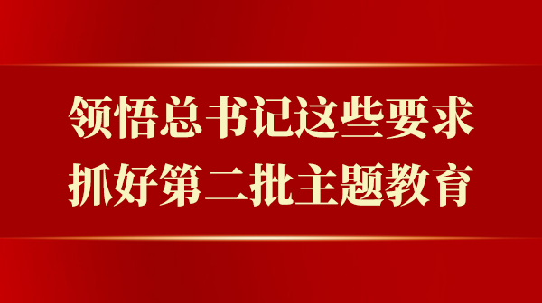 意会总书记这些要求，，，抓好第二批主题教育