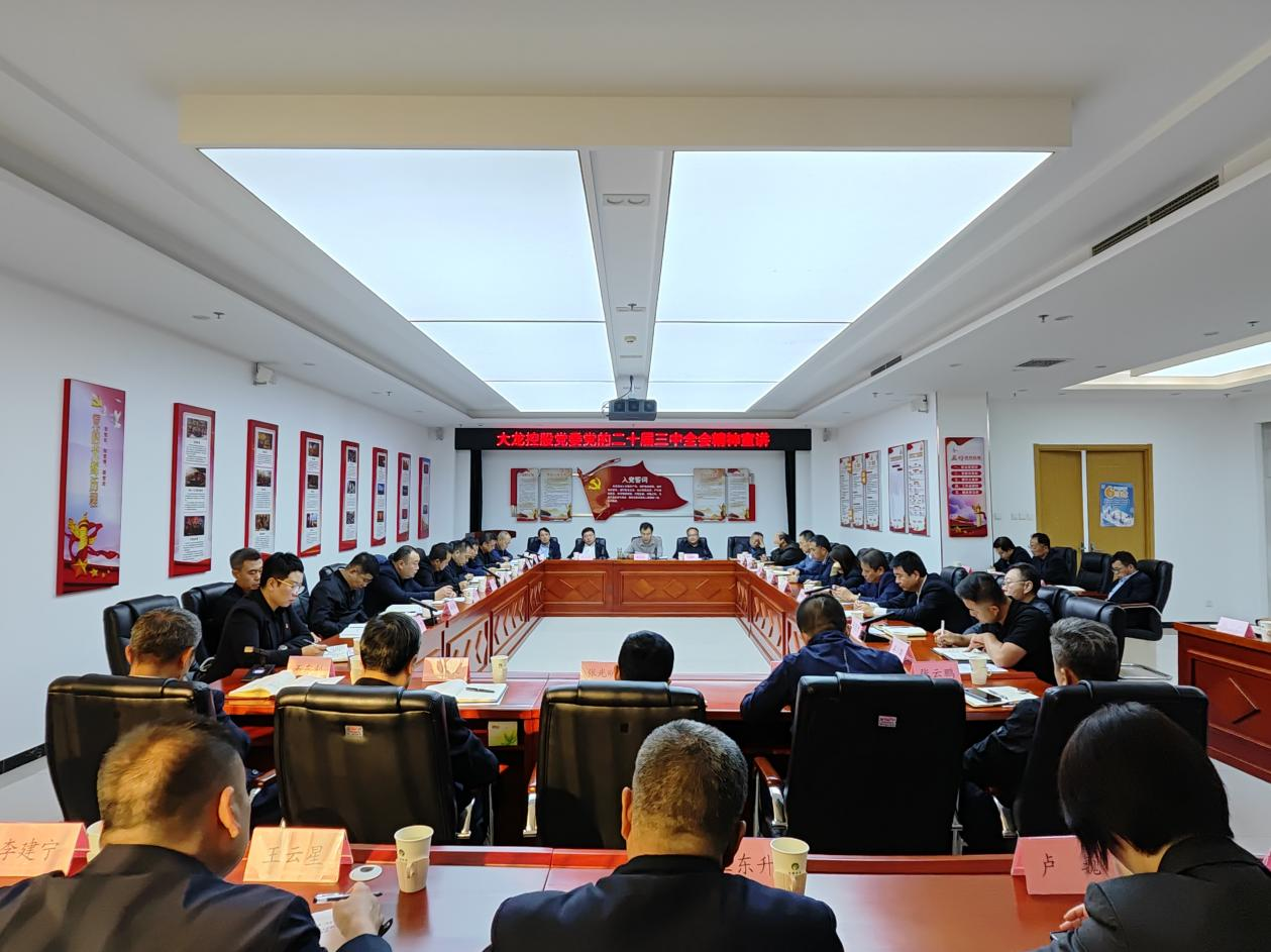mg不朽情缘控股党委开展党的二十届三中全会精神宣讲