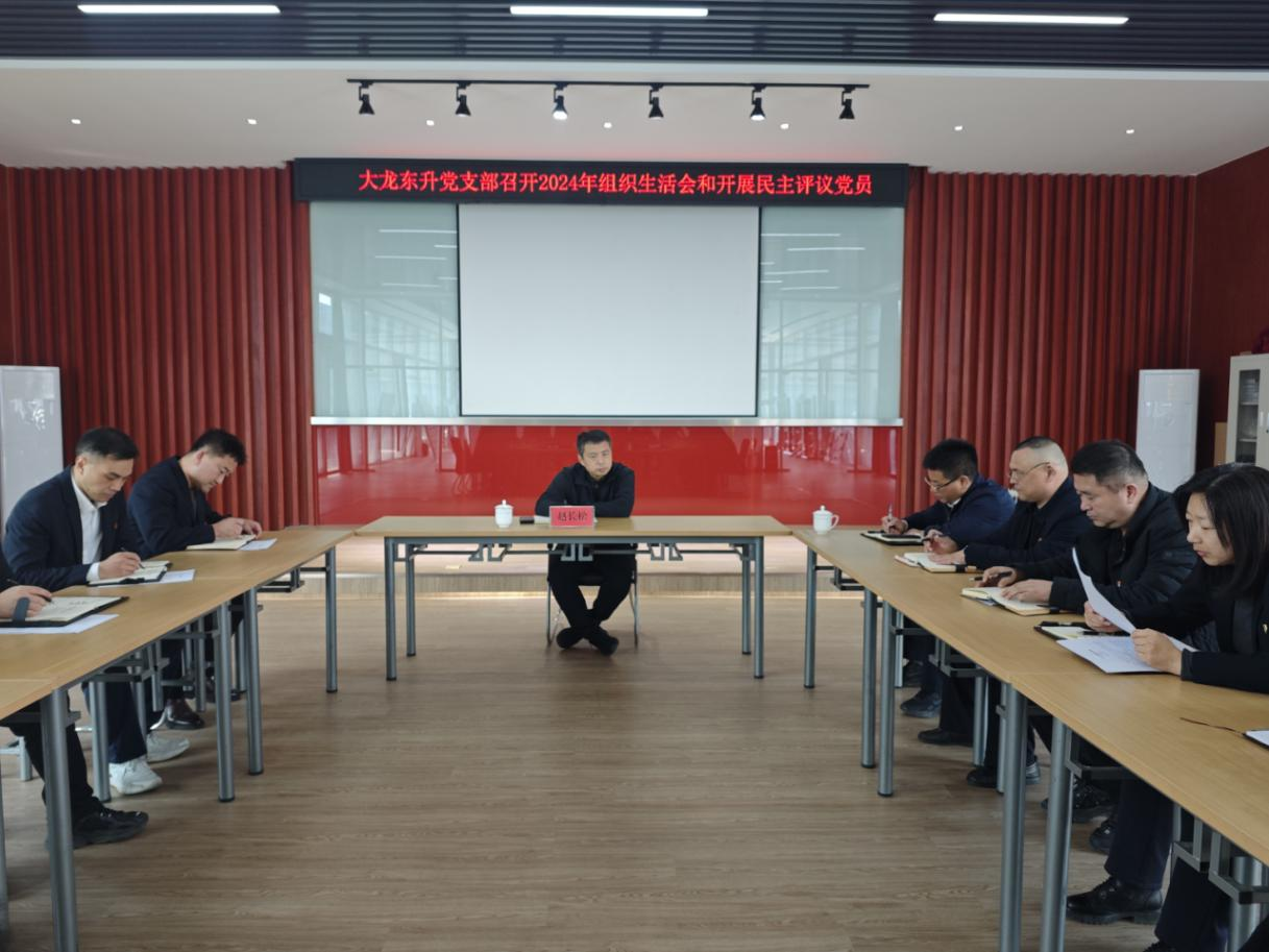 mg不朽情缘控股公司党委副书记、司理赵长松加入mg不朽情缘东升党支部2024年度组织生涯会