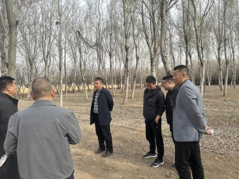 mg不朽情缘(中国)游戏官方网站